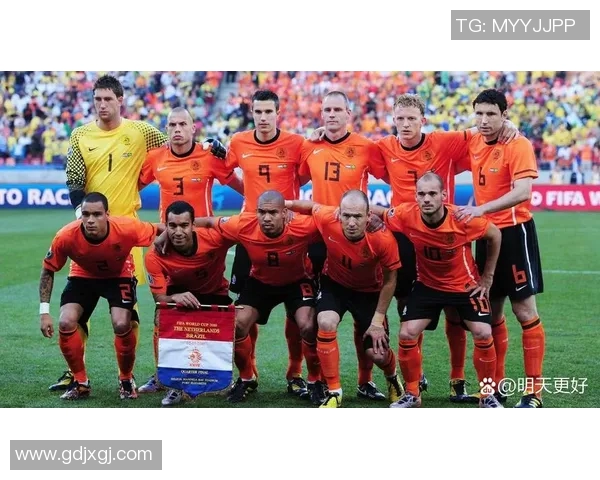 2006年世界杯小组赛阿根廷对阵波黑精彩回顾与战术分析