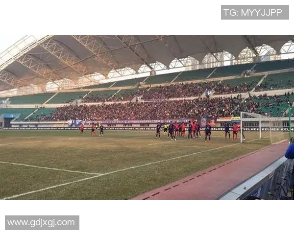 火山鸣泉与梅县视频的精彩对比探讨与文化交流之旅 火山鸣泉与梅县视频的精彩对比探讨与文化交流之旅