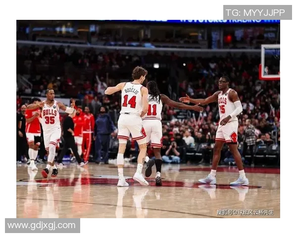 鹈鹕与公牛中央5对决精彩回顾与赛后分析