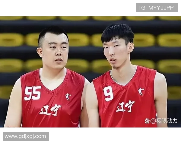 CBA精彩对决辽宁队迎战北京队视频直播全程回放与赛后分析 CBA精彩对决辽宁队迎战北京队视频直播全程回放与赛后分析