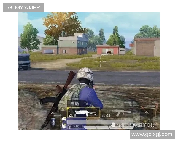 和平精英战队IG的荣耀之路与突破历程全景回顾