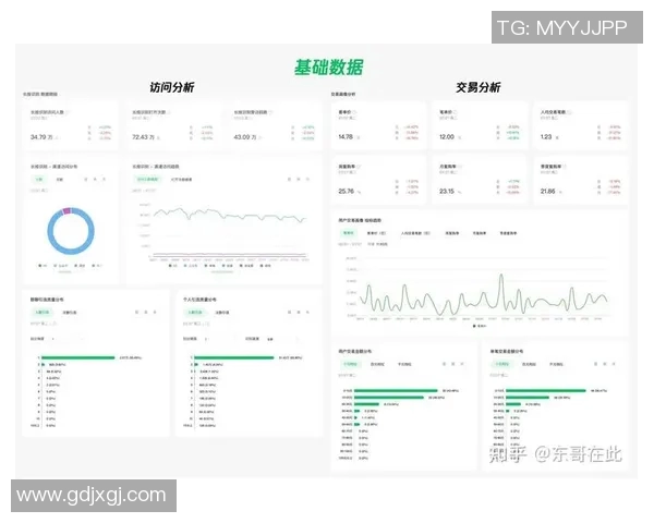 深入探讨WE团队近期状态表现与数据分析的全面解读